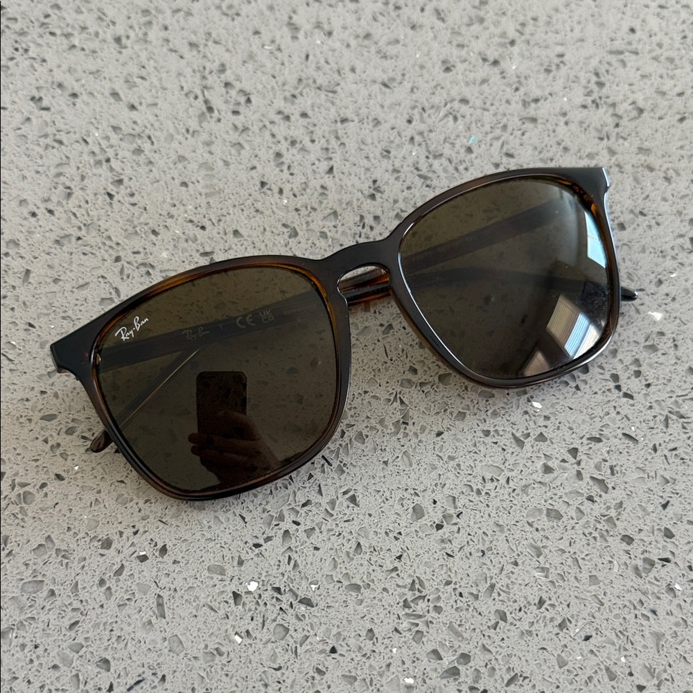 Ray-Ban RB4387 Tortoise Shell Sunglasses